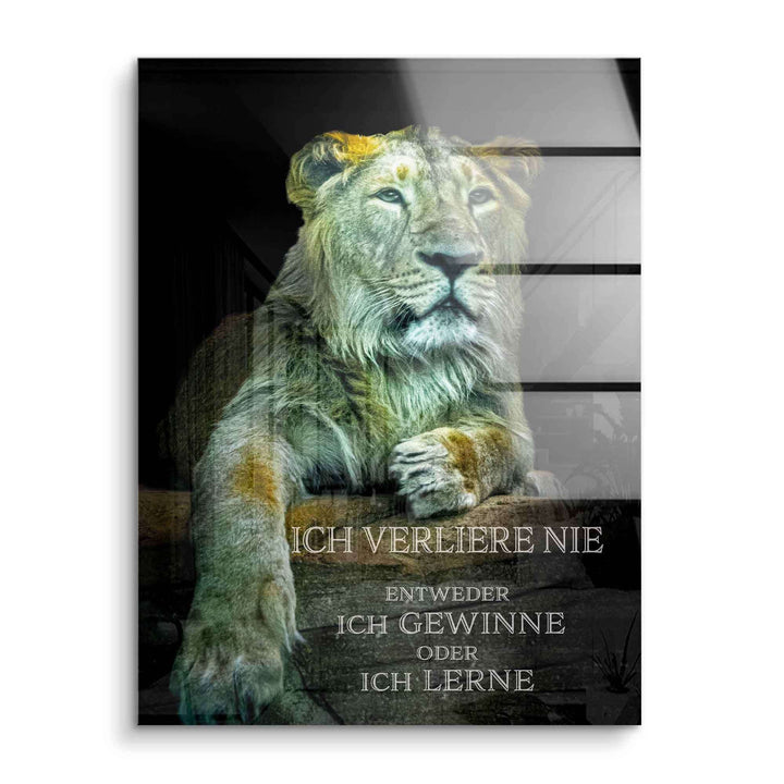 Motivationsbild mit grünlichem Löwen auf Acrylglas und Text: Ich verliere nie, ich gewinne oder lerne.
