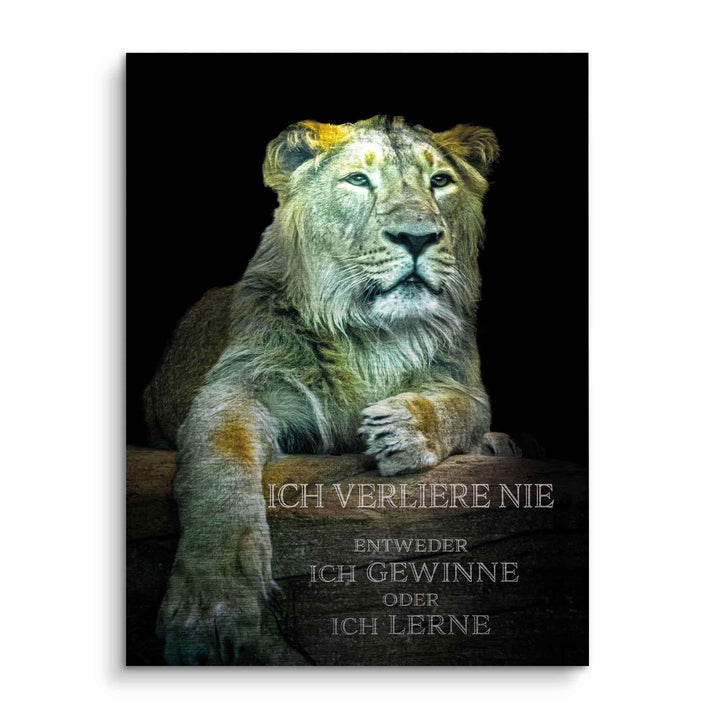 Motivationsbild mit grünlichem Löwen vor schwarzem Hintergrund und inspirierendem Spruch