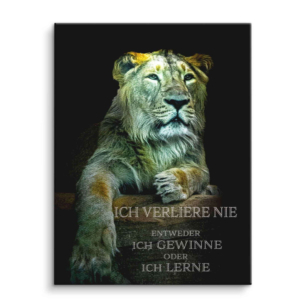 Motivationsbild Leinwand mit grünlichem Löwen und Spruch: Ich verliere nie, ich gewinne oder lerne