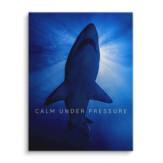 Motivationsbild Hai im Meer, auf Leinwand, mit Aufschrift Calm Under Pressure, blaue Unterwasser-Szene