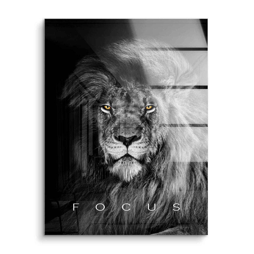 Motivationsbild Acrylglas: Löwe im Schwarzweiß mit gelben Augen und Schriftzug Focus