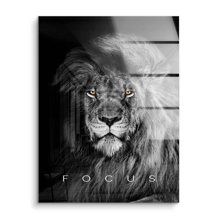 Motivationsbild Acrylglas: Löwe im Schwarzweiß mit gelben Augen und Schriftzug Focus