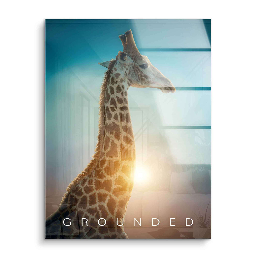 Giraffe im Sonnenlicht vor modernem Fenster, Motivationsbild mit Aufschrift Grounded, Acrylglas