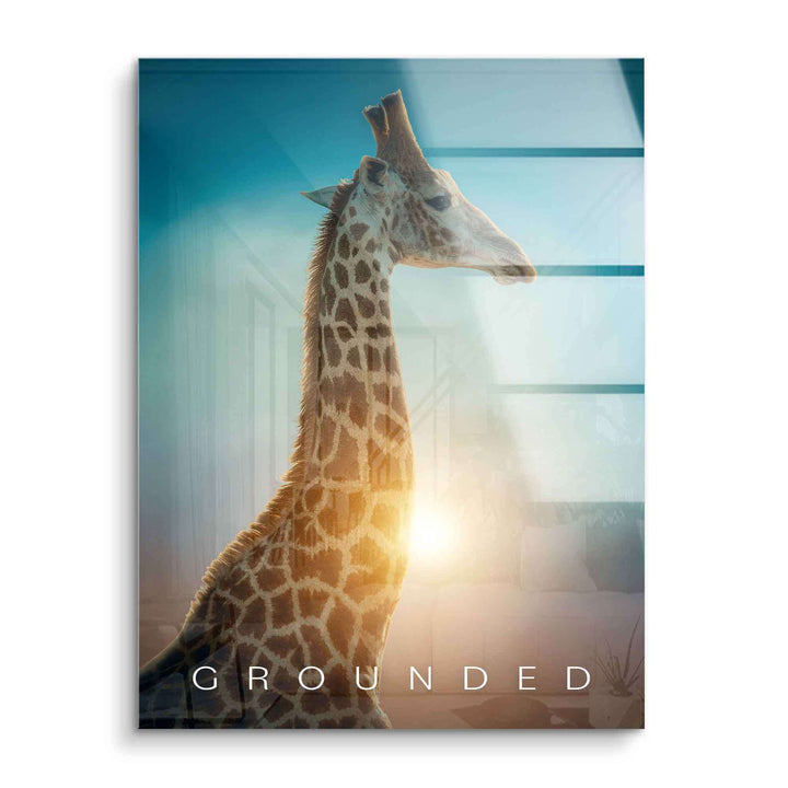 Giraffe im Sonnenlicht vor modernem Fenster, Motivationsbild mit Aufschrift Grounded, Acrylglas