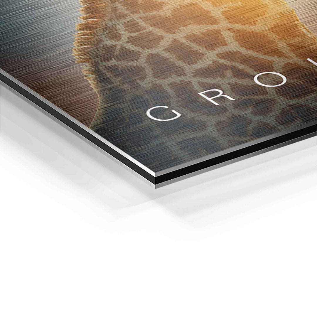Detail eines Motivationsbilds mit Giraffe auf gebürstetem Aluminium, modernes Wandbild