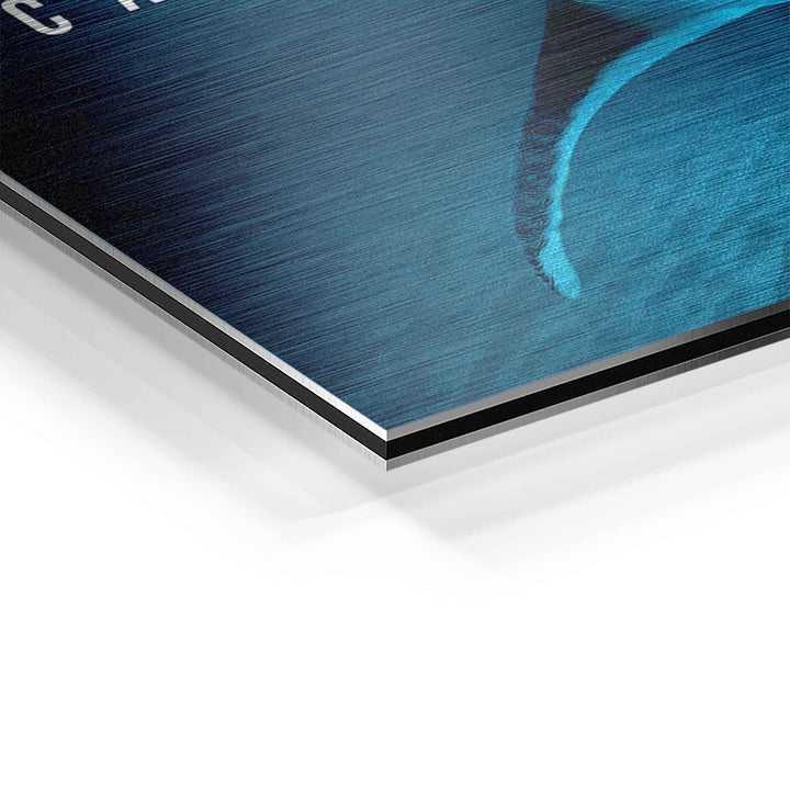 Detailansicht Motivationsbild Hai und Taucher auf Aluminium, blau gebürstete Oberfläche