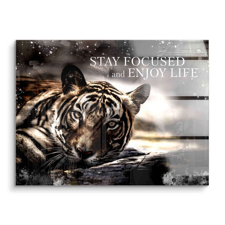 Enjoy life
