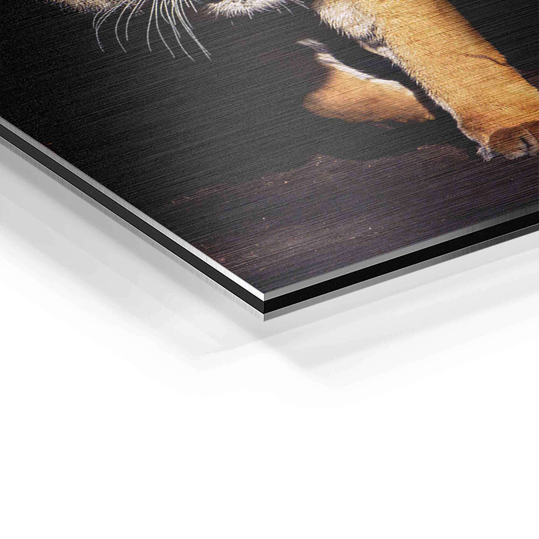 Detailaufnahme Aluminium Wandbild mit Tiger Motiv, gebürstete Oberfläche, Motivationsbild