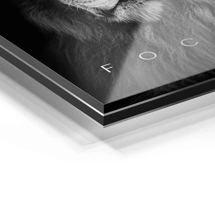 Detailansicht Acrylglas Wandbild mit Löwenmotiv und FOCUS Schriftzug, modern, schwarz-weiß