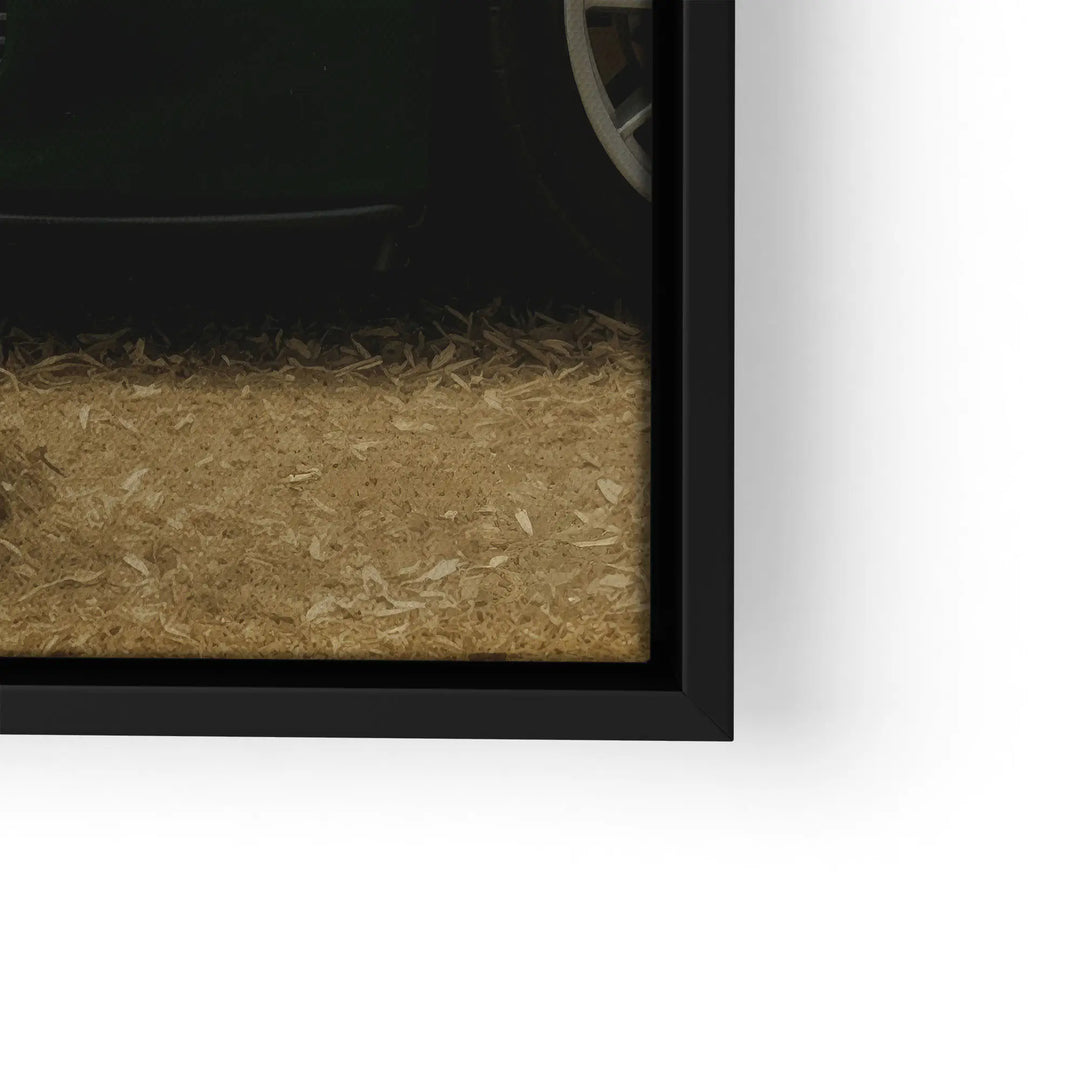 Luxury grazing