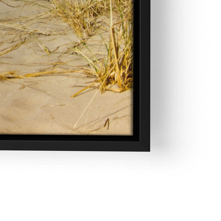 Dune Light