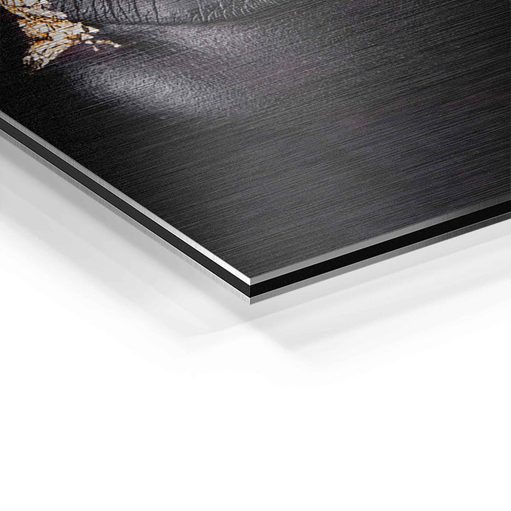 Detailansicht Wandbild auf gebürstetem Aluminium, Gesicht mit Blattgold-Elementen