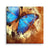 Blue Butterfly