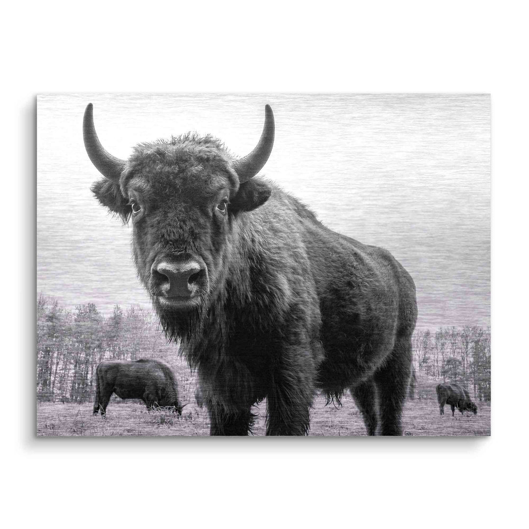 Schwarz-weiß Wandbild mit Bulle auf Wiese, minimalistisches Tiermotiv, Natur Deko