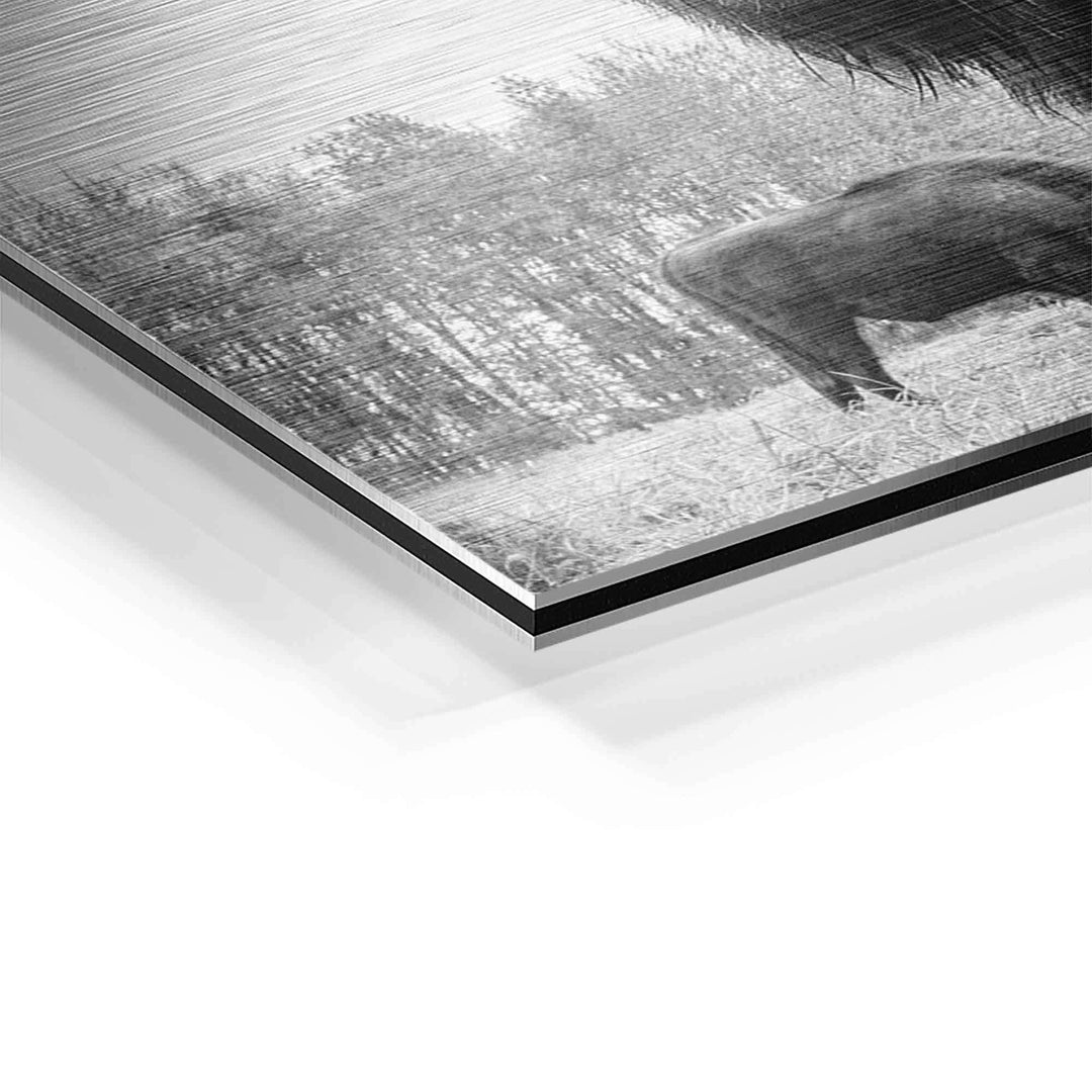 Nahaufnahme eines schwarz-weißen Wandbilds mit Bullen-Motiv auf gebürstetem Aluminium