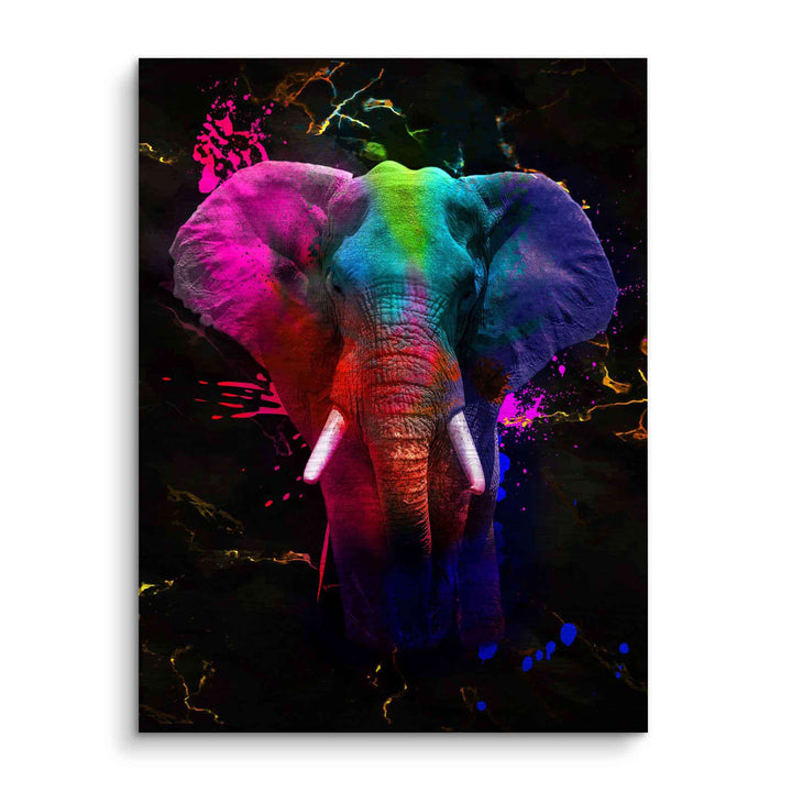 Modernes Wandbild mit buntem Elefant auf dunklem Hintergrund, Farbspritzer, Kunstbild