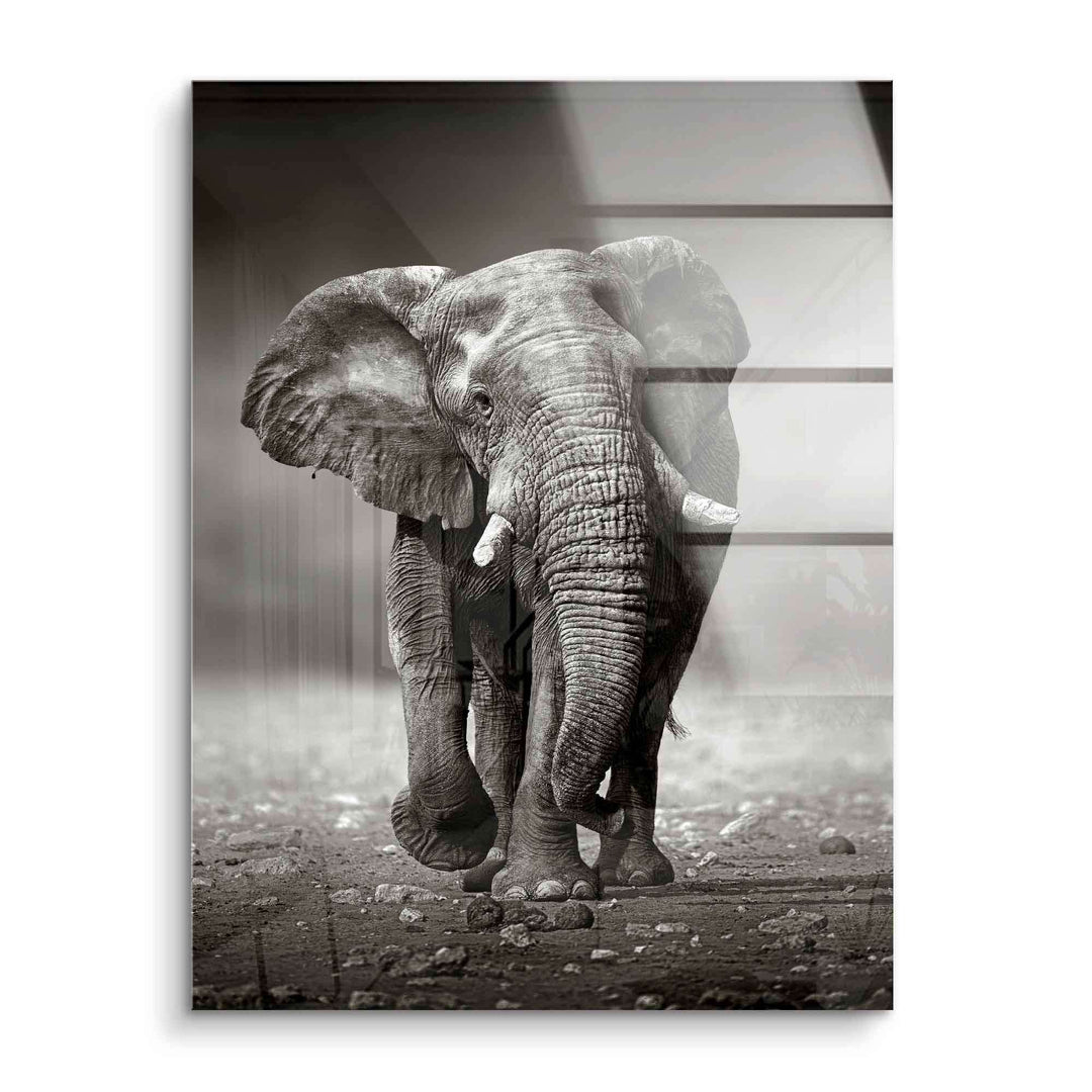 Wandbild mit Elefant in Schwarz-Weiß, naturgetreues Tiermotiv auf Acrylglas