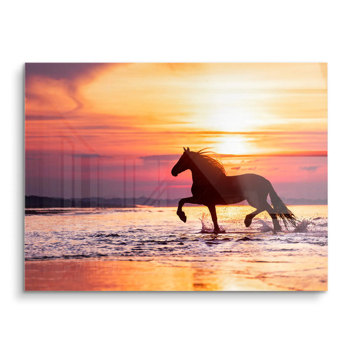 Chasing Sunset