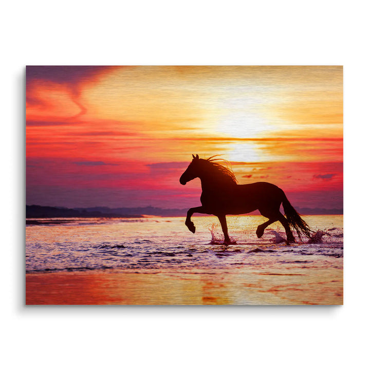 Chasing Sunset