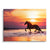 Chasing Sunset