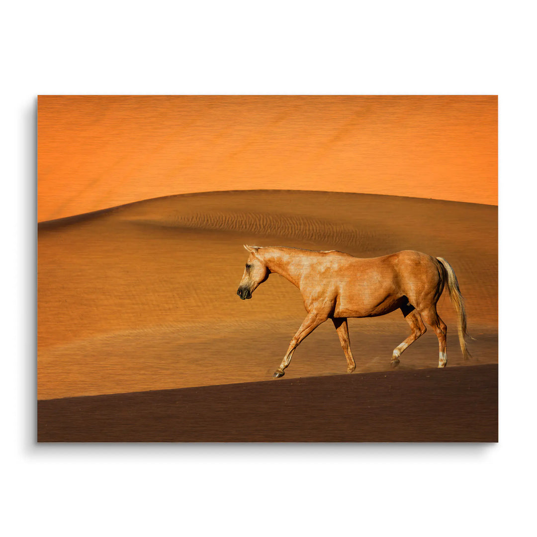 Silent Dunes