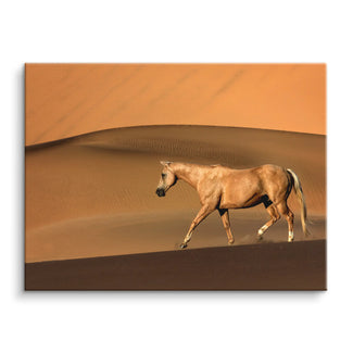 Silent Dunes