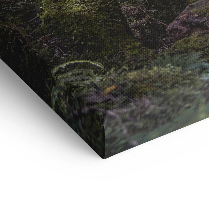 Hidden Haven