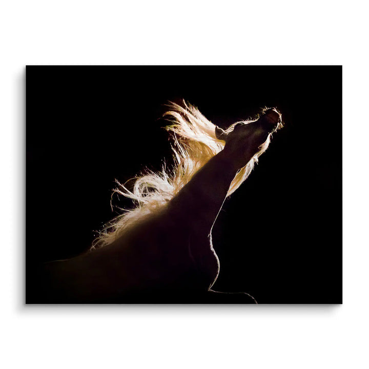 Midnight roar