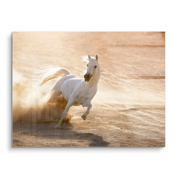 Dust Dancer