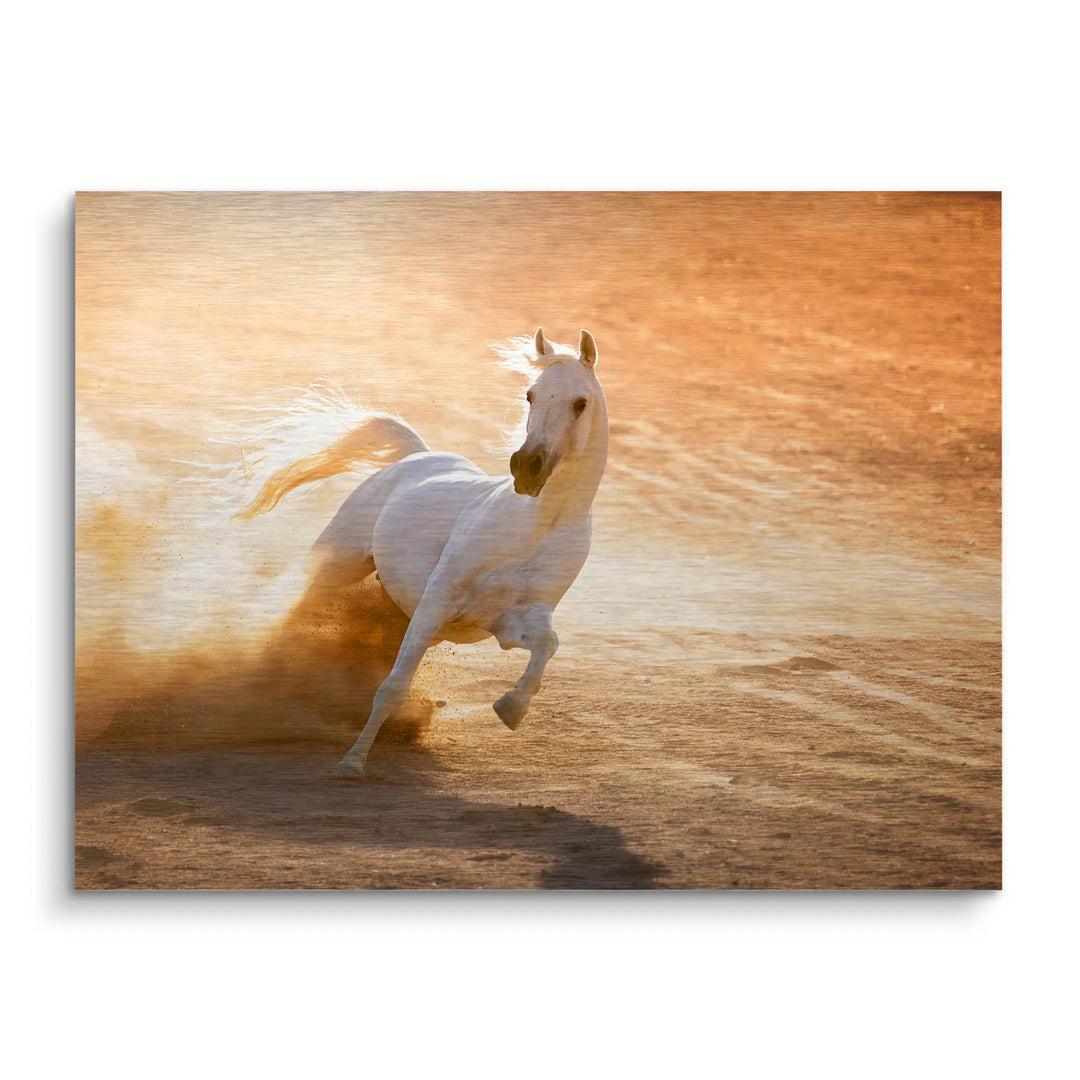 Dust Dancer