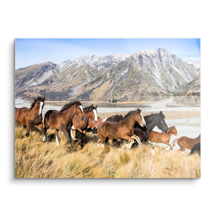 Alpine spirit