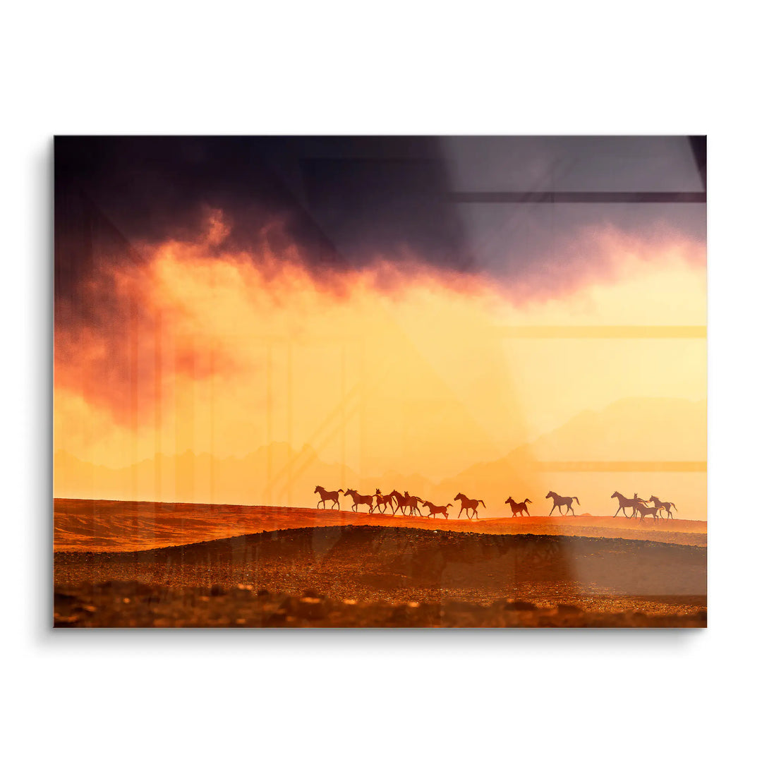 Wild horizon