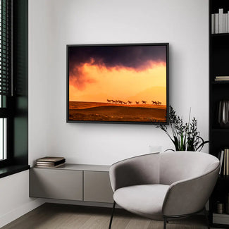 Wild horizon