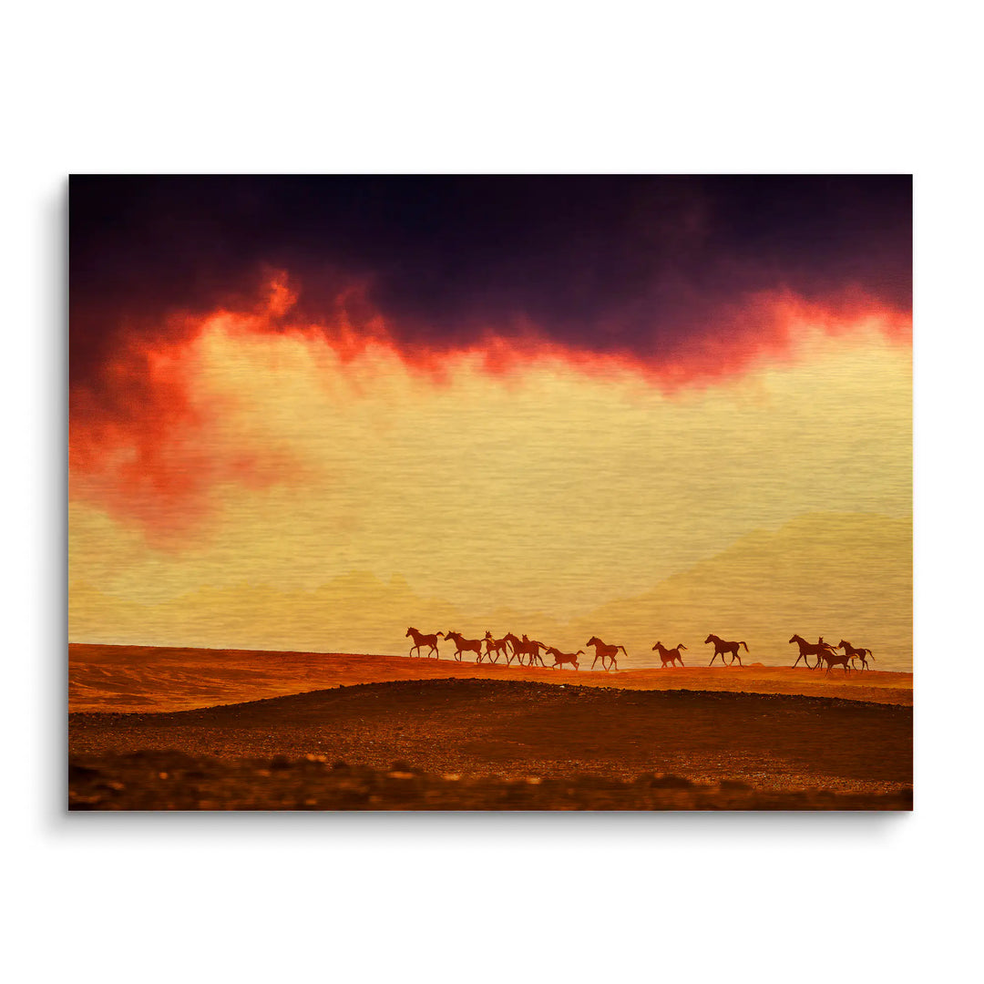 Wild horizon