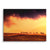 Wild horizon