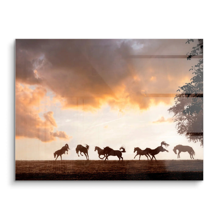 Wild Symphony