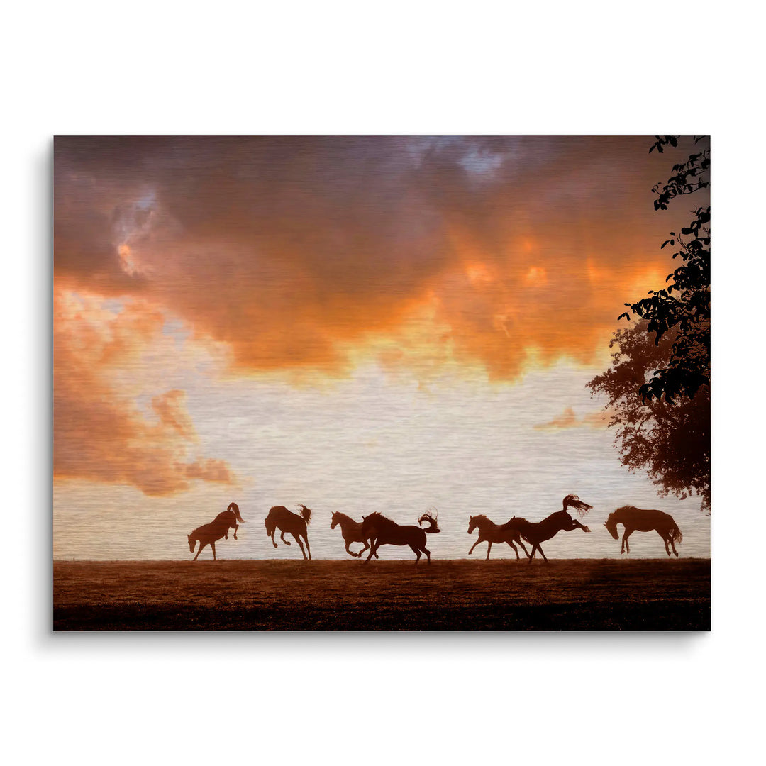 Wild Symphony