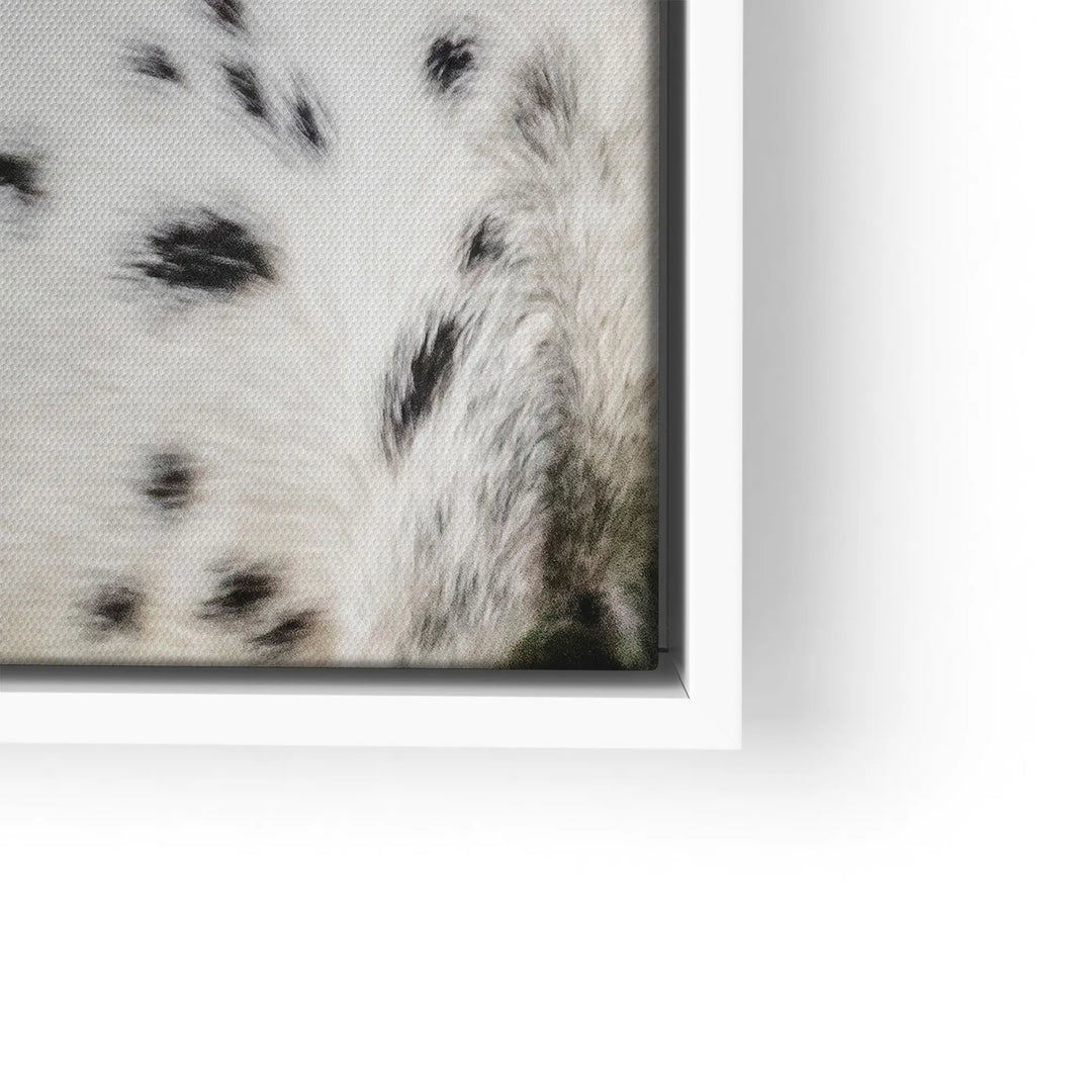 Spotted harmony