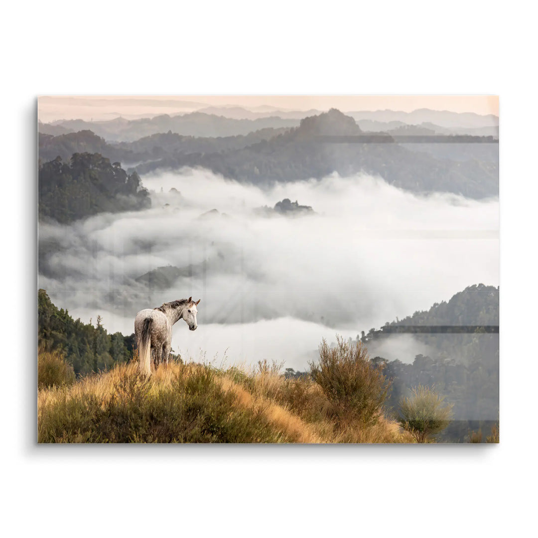 Above the clouds