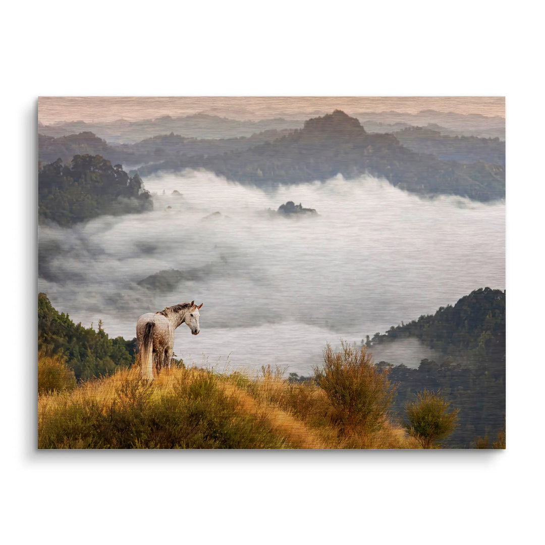 Above the clouds