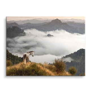 Above the clouds