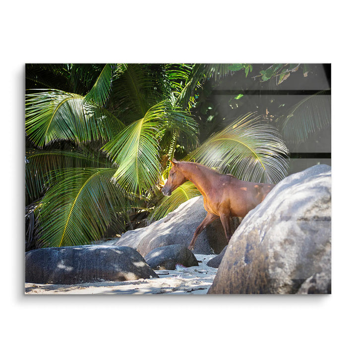 Island Spirit