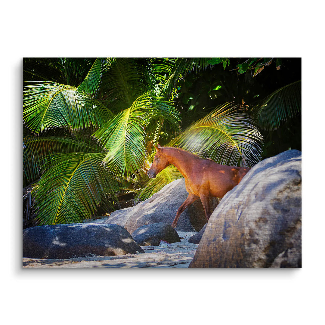 Island Spirit