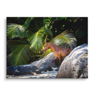 Island Spirit