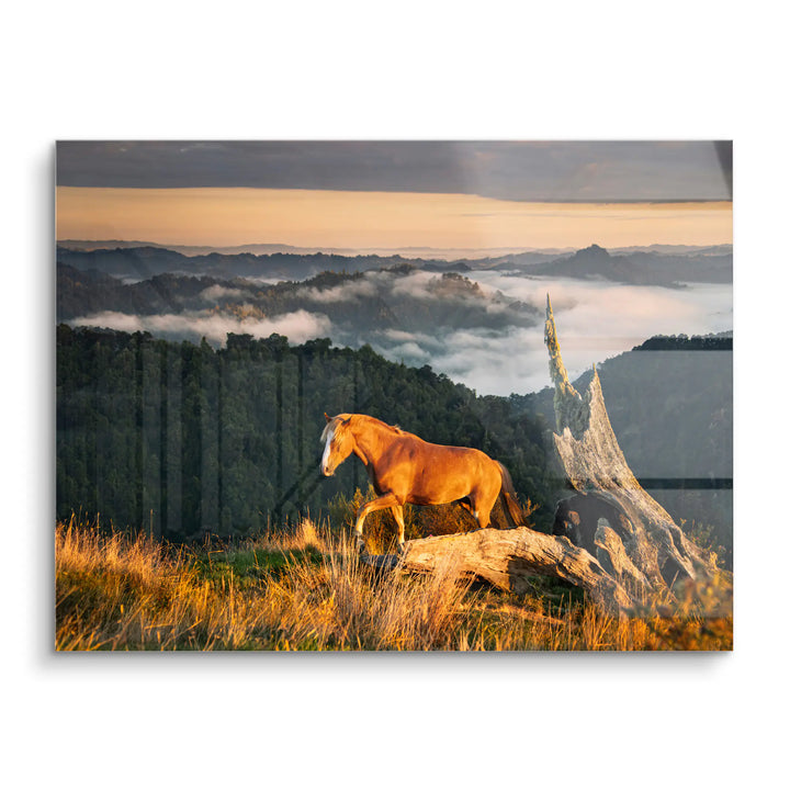 Highland Whisper