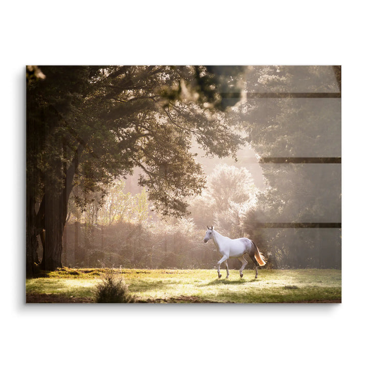 Forest whisper