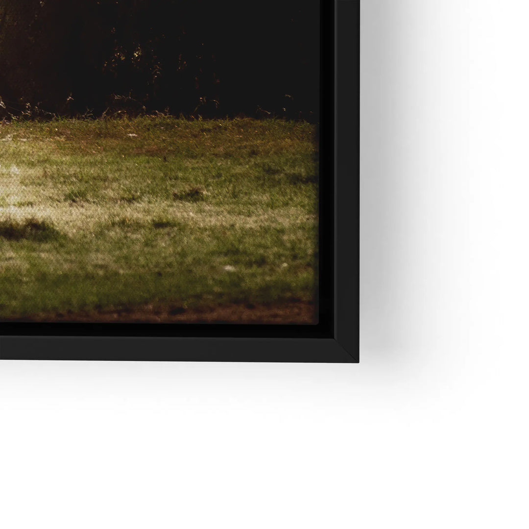 Forest whisper