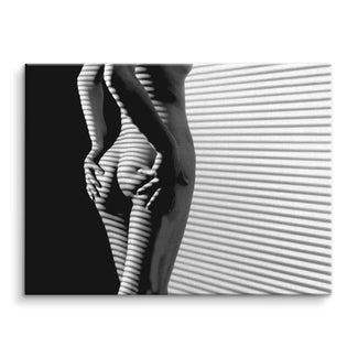 Body lines