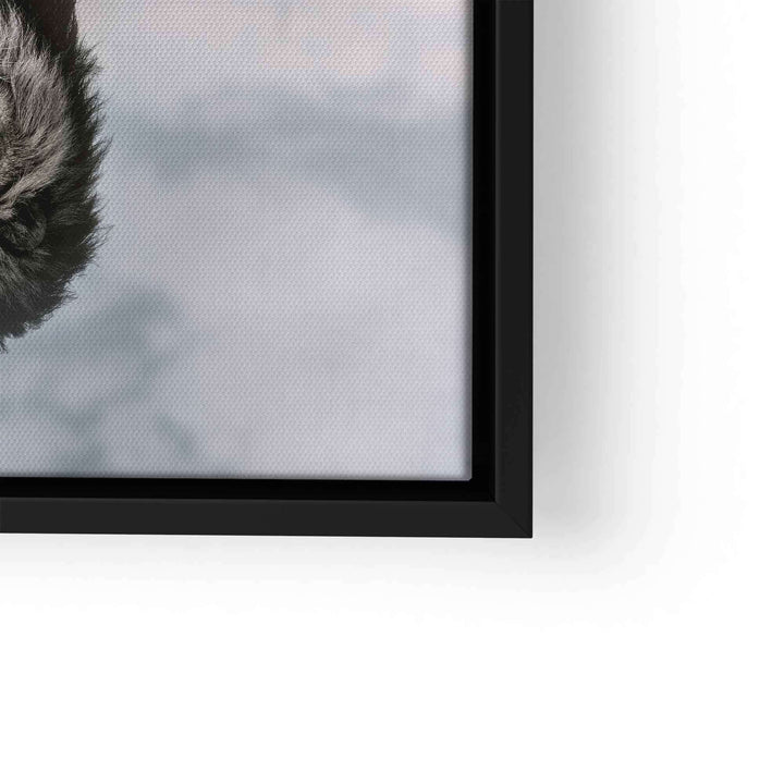 Detailansicht Leinwandbild mit schwarzem Rahmen, Fellstruktur und grauem Hintergrund
