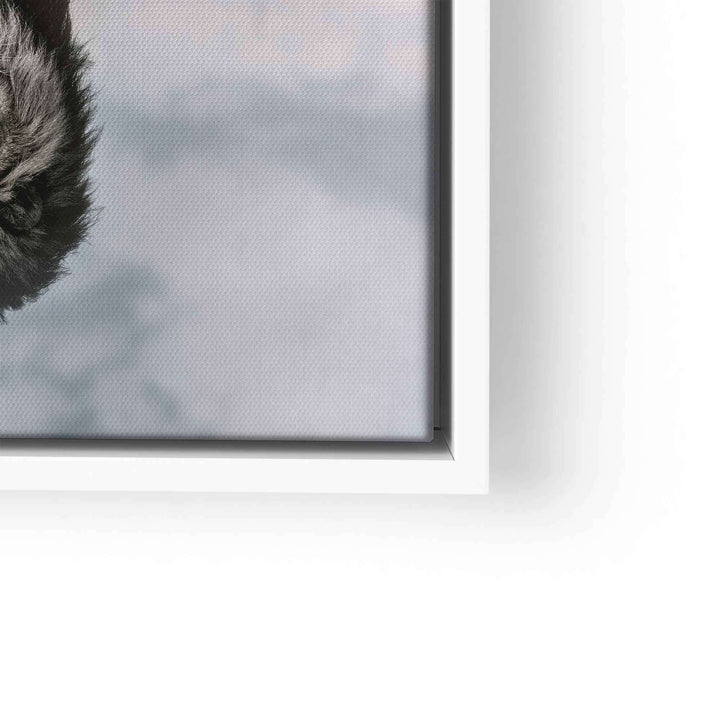 Detailaufnahme Motivations-Wandbild auf Leinwand mit weißem Rahmen, moderne Kunst
